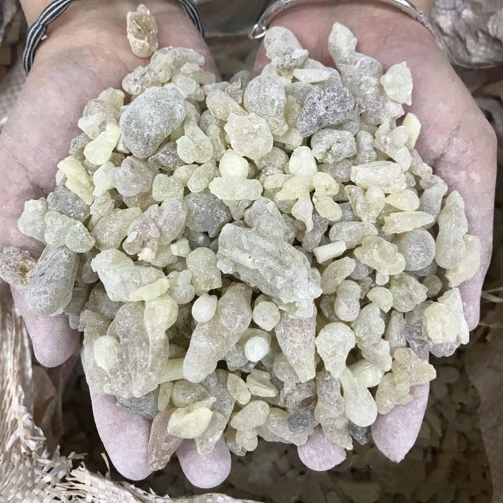 Arabian Yemen Top Grade Frankincense Resin Arabian Yemen Top Grade Frankincense Resin