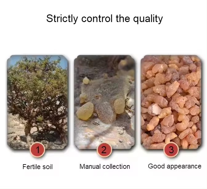 100% Natural Frankincense Resin